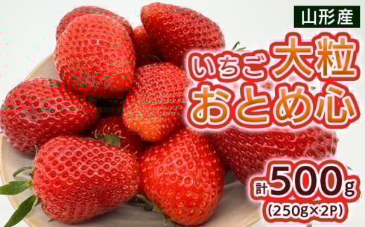 いちご 大粒おとめ心 500g(250g×2パック)【令和8年産先行予約】FS25-095