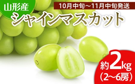 山形市産 シャインマスカット 秀 約2kg(2～6房)[後半]【令和8年産先行予約】FS24-660 くだもの 果物 フルーツ 山形 山形県 山形市 2026年産
