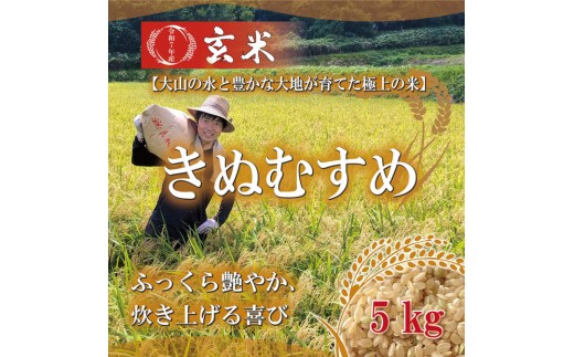 
            1103.令和7年産　原田農園きぬむすめ玄米 5kg
          
