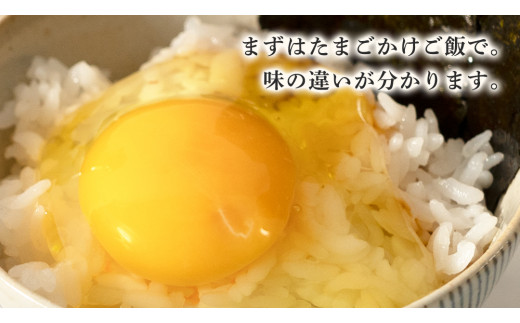 枝さんちのたまご 40個 (M～L40個) 産地直送 たまご 玉子 生卵 鶏卵 タマゴ 平飼い 桜川市産 茨城県産 卵 非遺伝子組換え [BT007sa]