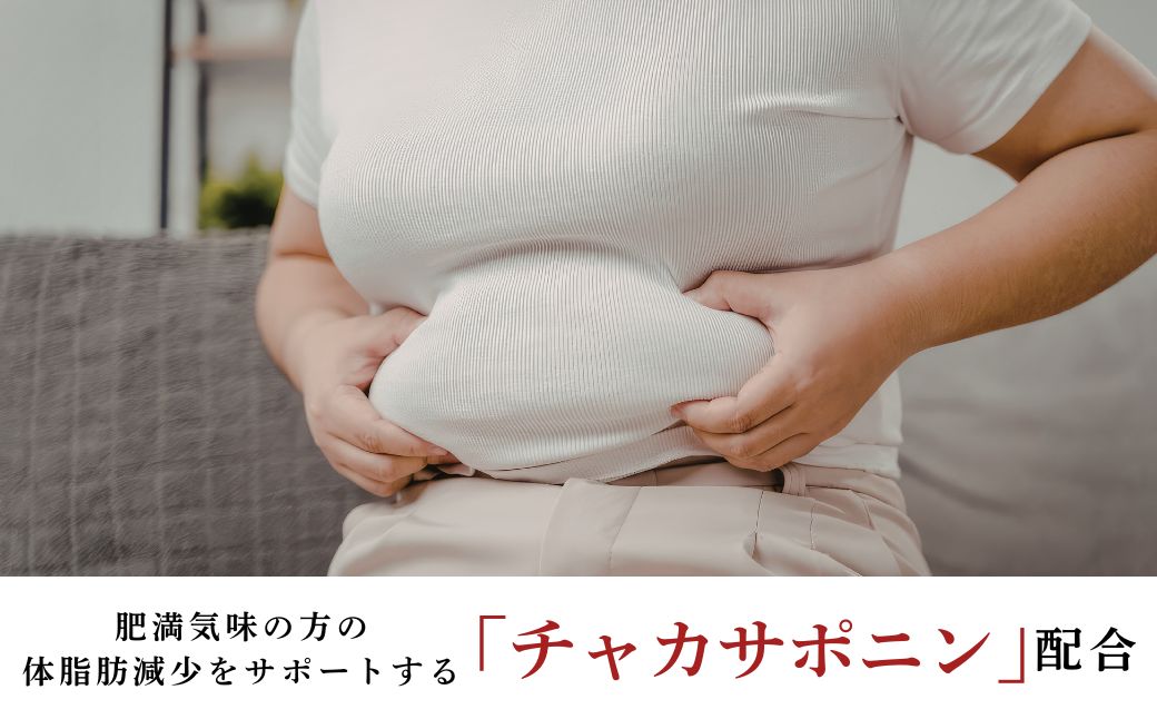 茶花青汁スッキリッチ×3箱 | 青汁 野菜 ダイエット 体脂肪 筋力 ウエスト 乳酸菌 健康食品 豊後高田市