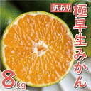 【 ふるさと納税 】 先行予約 訳あり 極早生 温州みかん 8kg 10000円 愛媛 みかん こたつ みかん 家庭用 産地直送 国産 農家直送 期間限定 数量限定 特産品 ゼリー ジュース アイス 人気 限定 甘い フルーツ 果物 柑橘 蜜柑 規格外 特産 愛南町 愛媛県 ミッチーのおみかん畑