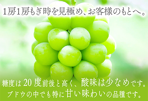 C-680 絶対鮮度！農家直送のシャインマスカット 3～4房（2kg以上）