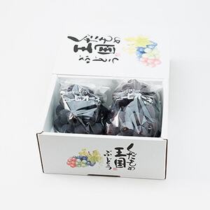 【2025年8月より発送】訳あり家庭用　岡山県産ニューピオーネ1.0kg以上(2房)【配送不可地域：離島】【1612618】