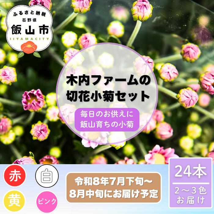 【ふるさと納税】《先行予約》＼ 上品にさりげなく。小菊のある暮らし／ 木内ファームの切花小菊24本セット＜出荷開始：2026年7月下旬〜＞【 長野県 飯山市 花 フラワー美しい 小菊 盆花 アレジメント プレゼント】(ca-003)