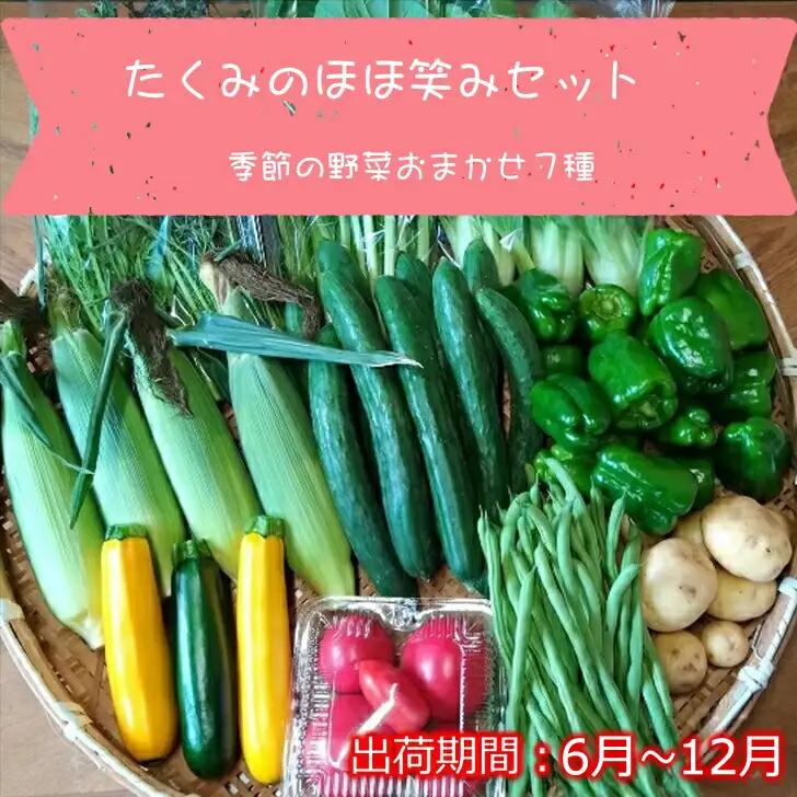 旬の野菜7種詰め合わせ『たくみのほほ笑みセット』（2026年6～12月出荷／北海道・九州・沖縄県・離島は配送不可） 旬彩 長野県 信州 おまかせ 高原  産地直送 季節  有機 栽培