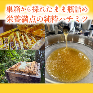 丹波篠山産　日本蜜蜂百花蜜のハチミツ　180g×2瓶はちみち　ハチミツ　蜂蜜　非加熱　生 無添加  [SYC02]