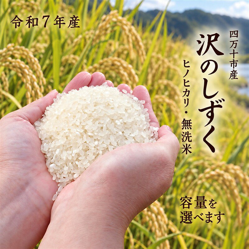 【ふるさと納税】【選べる 容量】令和7年産 米 ヒノヒカリ 5kg 10kg 無洗米 精米 白米 沢のしずく 2025年 四万十市産 国産 ひのひかり おこめ こめ コメ ご飯 ごはん おいしい ふっくら もちもち 高知県 高知 四万十市 四万十 しまんと お取り寄せ 送料無料