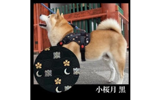 
【柴犬コウタのハッピィショップ】中型犬用 京都西陣金襴織 ハーネス 華～HANA～ （小桜月 黒）
