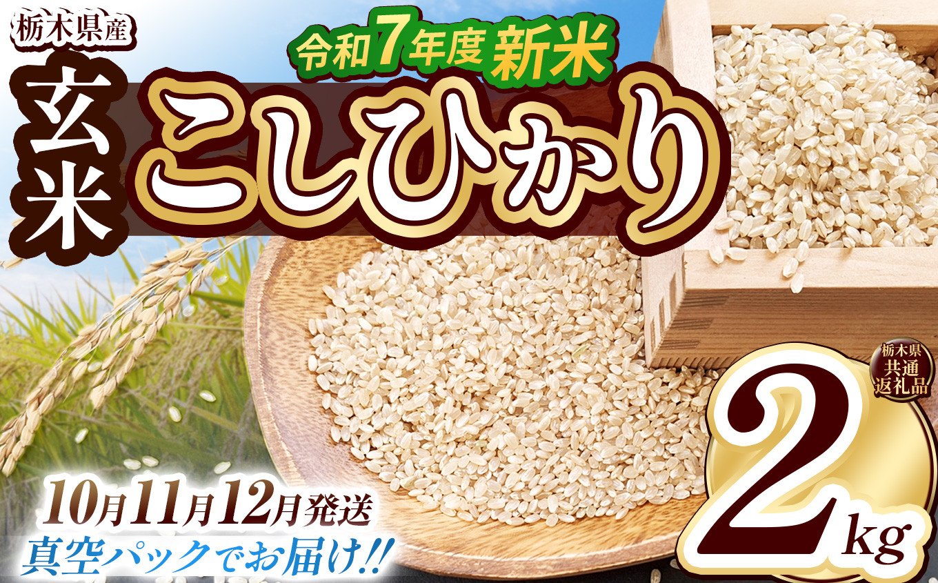 
            【栃木県共通返礼品】【先行予約】【選べる発送月・回数】【数量限定】令和7年度新米 栃木県産こしひかり（玄米真空パック） 2kg  | 定期便あり 玄米 精米 お米 コメ こしひかり 先行予約 ブランド米 栃木県 特産品  下野市 送料無料
          