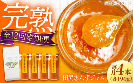 【全12回定期便】 ジャム 田尻完熟あんずジャム (4本)　ジャム 果物 あんず パン 甘い 菓子 朝ごはん 広島県福山市/有限会社勉強堂[BAFL010]