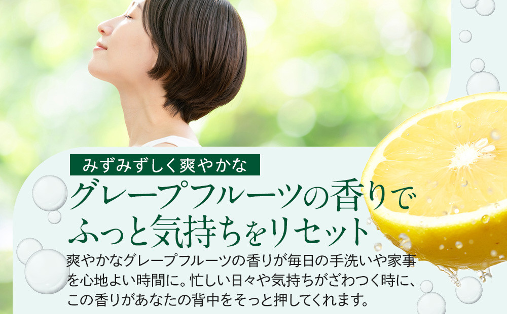 【テレビで紹介されました！】バーデンス　ボディシャンプーB　500ml