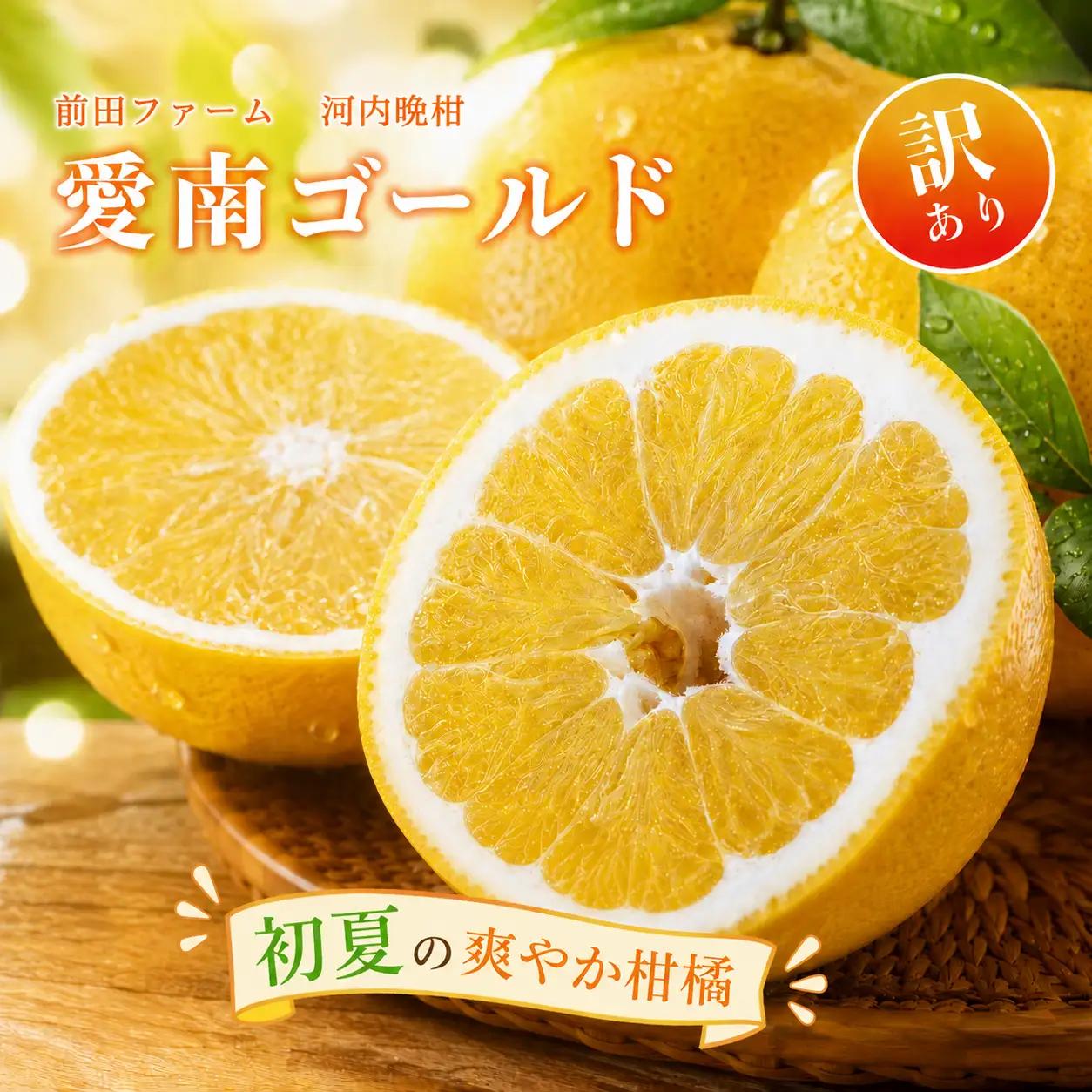 先行予約  愛南ゴールド（河内晩柑）大玉 約8kg みかん 蜜柑 河内晩柑 2027年発送 柑橘 果物 フルーツ 前田ファーム 愛媛 愛南 【発送期間 3月下旬～5月上旬 】(なくなり次第終了)