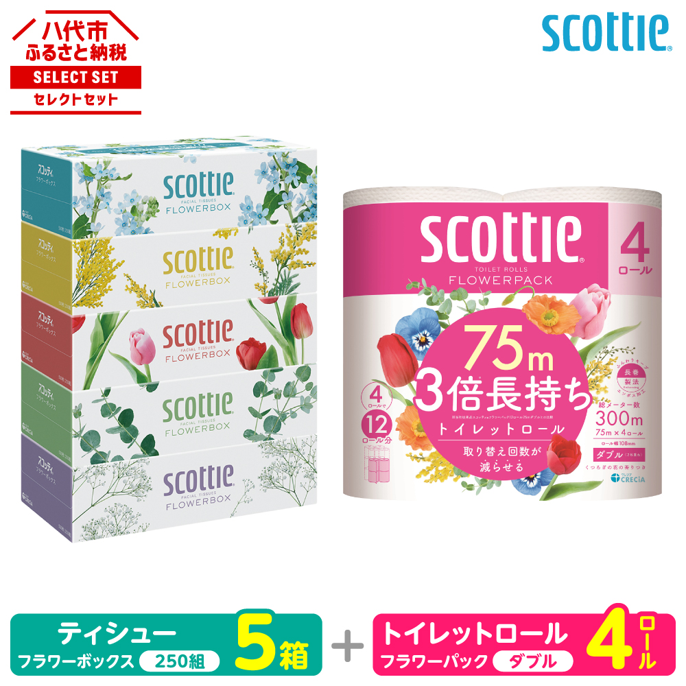【スコッティ】 組み合わせ ティシュー フラワーボックス 250組 5箱 トイレットロール ダブル フラワーパック 3倍長持ち 4ロール ティッシュ トイレットペーパー 日用品 消耗品 熊本県 八代市