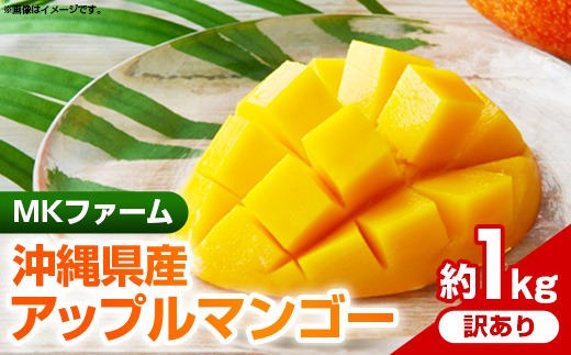 【2025年発送】MKファームの訳ありアップルマンゴー約1kg【訳あり】- 訳アリ 沖縄県産 産地直送 南国フルーツ 旬の味覚 アップルマンゴー オススメ 沖縄県 八重瀬町