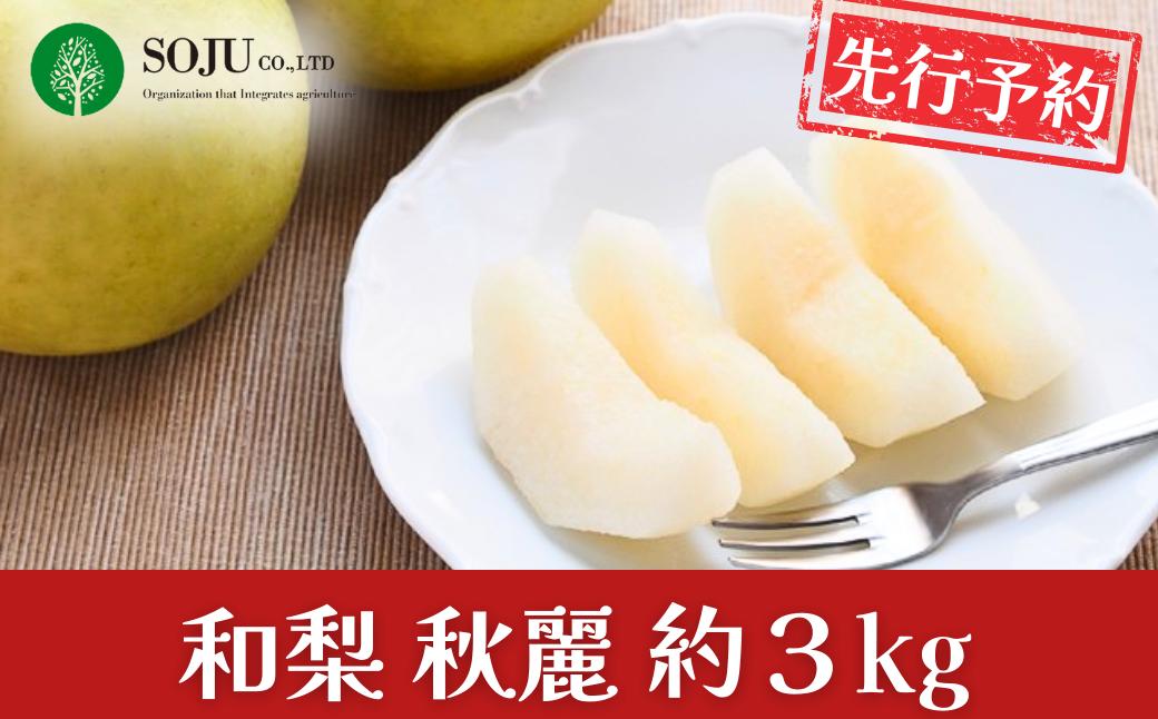 
            先行予約 和梨 秋麗 約3kg 令和8年度 樹上完熟日本梨 新潟県 三条市産 [三条果樹専門家集団]【010S496】
          