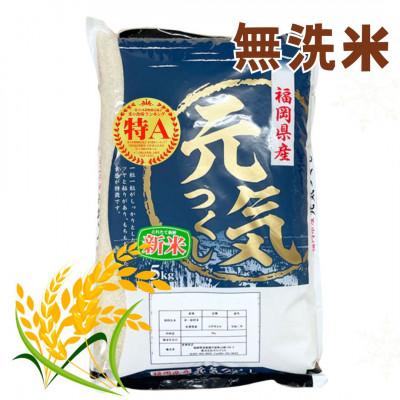 ふるさと納税 田川市 【令和7年産】福岡県産ブランド米「元気つくし」無洗米　5kg(田川市)