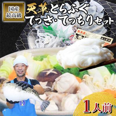 ふるさと納税 宇城市 【毎月定期便】天草とらふぐてっさ・てっちりセット(1人前)(宇城市)全2回