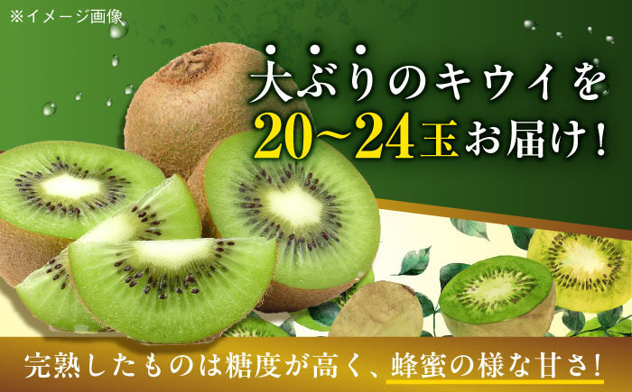 【先行予約】【2025年1月上旬より順次発送】生産量日本一！家族で毎日食べられる！甘熟キウイ　3L〜4Lサイズ（20〜24玉入）　愛媛県大洲市/沢井青果有限会社果物 [AGBN001]キウイ フルーツ