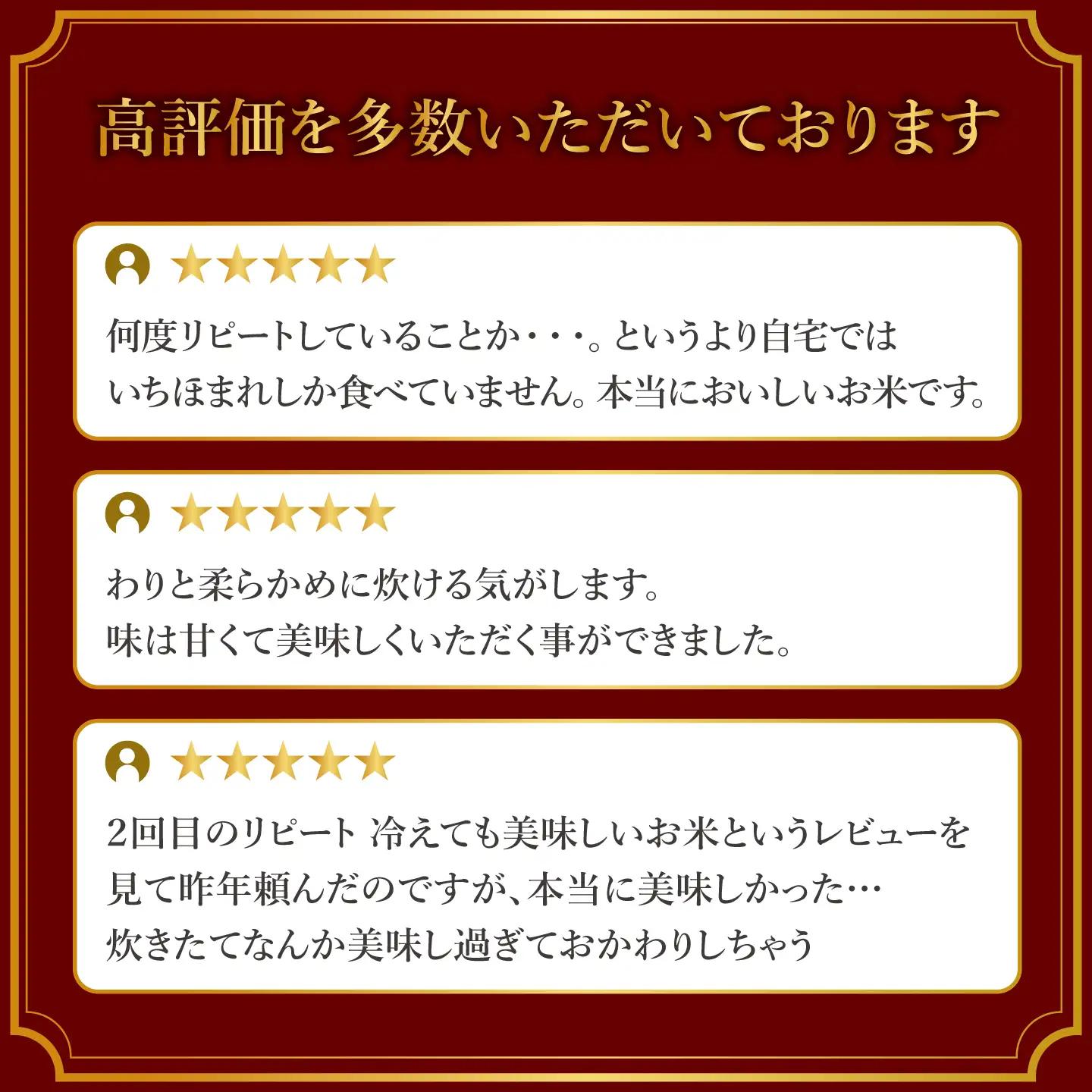 【寄付額見直し】令和7年産 いちほまれ 10kg（5kg × 2袋）
