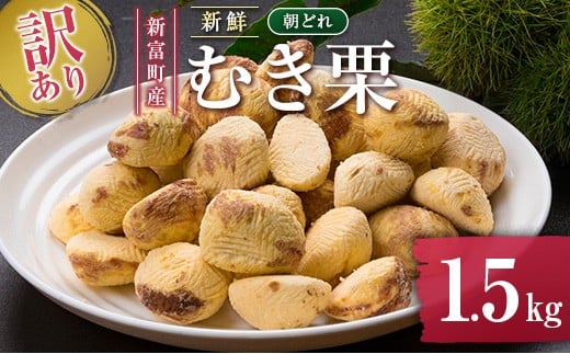 
            ＜訳あり＞期間限定 国産 新鮮朝どれ（むき栗）1.5kg 産地直送 お取り寄せ 宝珠栗 宮崎県新富町産【C448】
          