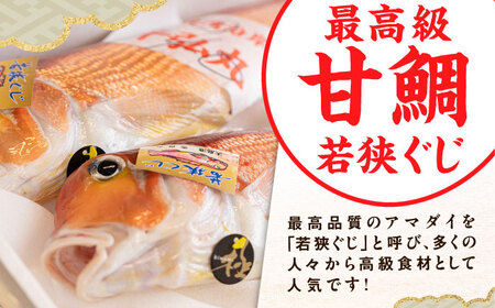 【加福鮮魚】若狭ぐじ 一汐開き 1尾 800g　甘鯛 タイ アカアマダイ 焼き魚 高級 小浜市 / 加福鮮魚【配送不可地域：北海道・沖縄・離島】  [BFBC001] 