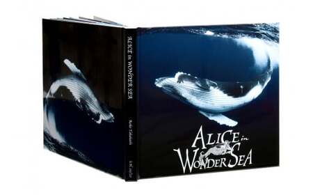 水中写真家 高橋怜子 フォトブック ALICE in WONDER SEA 写真集 海の絶景 ナショナルジオグラフィック 総合グランプリ受賞  写真 インテリア アート 写真家 Reiko Takahashi photography 高額返礼品 岩手県 北上市 （U0044）