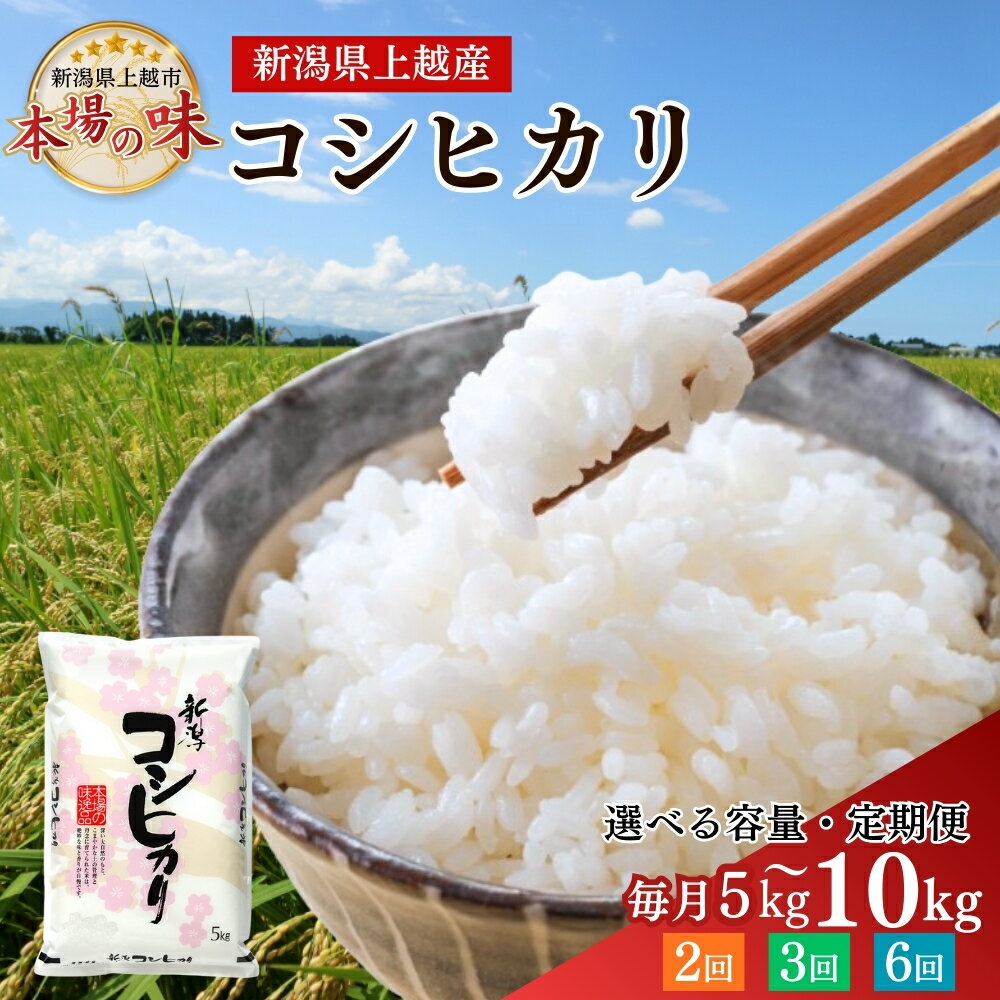 【ふるさと納税】令和7年産 コシヒカリ 5kg 5キロ 越後上越の恵み 精米したてをお届け 米 こしひかり 新潟 お米 こめ 上越市　お届け：2026年9月30日まで