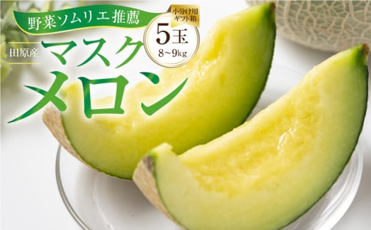 先行予約 【7月中お届け】数量限定 野菜ソムリエ推薦渥美半島伊良湖潮風育ち厳選マスクメロン5玉(8～9キロ)小分け用ギフト箱1箱付き  田原市 伊良湖産 ギフト プレゼント お取り寄せ 渥美半島 農家直送 送料無料 28000円