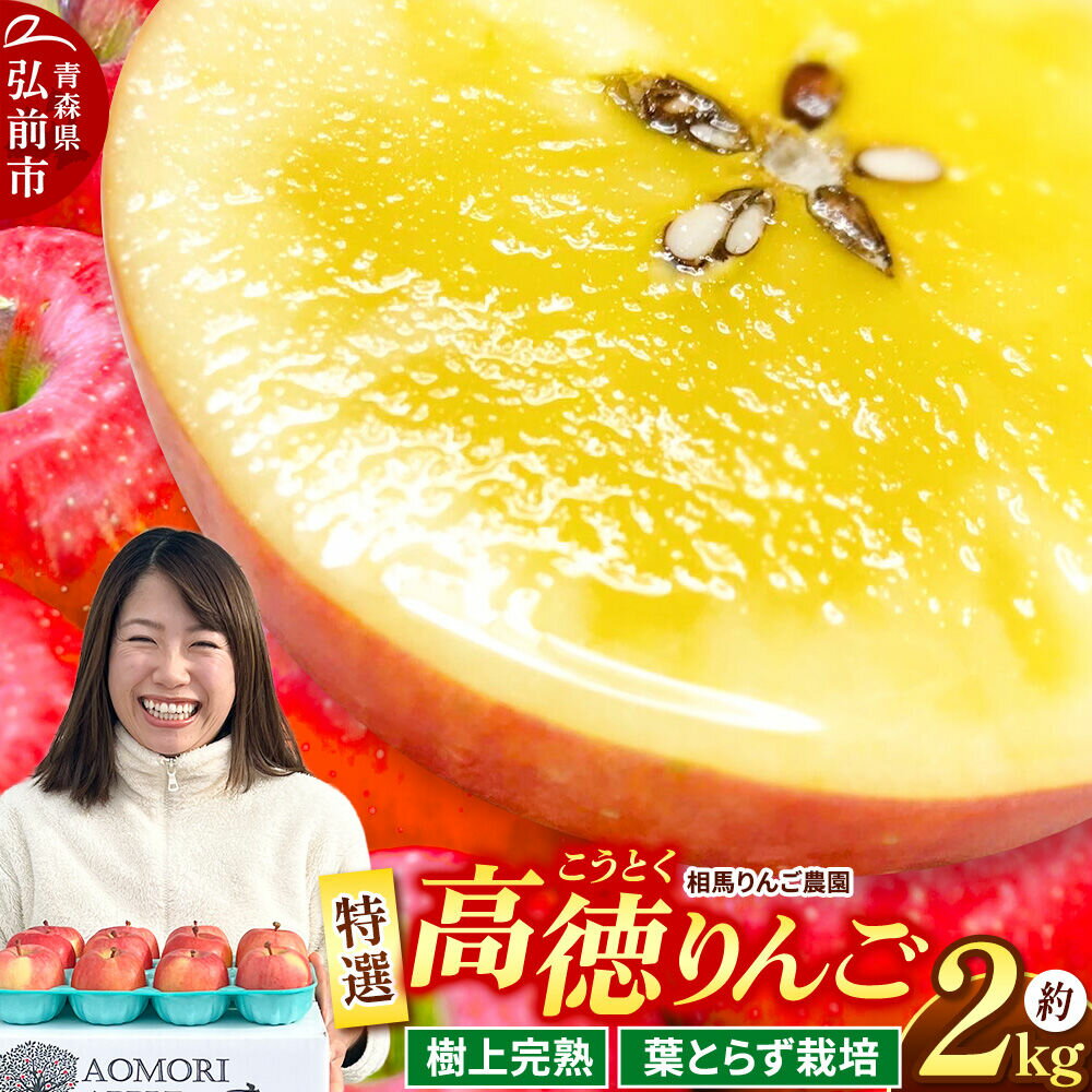 【ふるさと納税】【26年12月発送】りんご 高徳（こうとく）【特選】約2kg 先行受付 青森県 弘前市 果物 フルーツ 林檎 リンゴ くだもの ギフト 贈り物 [先行予約 産地直送 アップル おいしい 果実 美味 甘い 赤色]