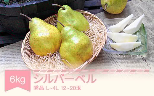 【先行予約】シルバーベル L~4L 秀品 6kg(3kg×2箱) 洋梨 令和7年産 2025年産 果物 mm-sbsxx6