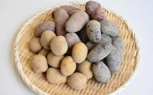 【先行予約：2026年6月頃より順次発送】和らぎ農法 春じゃが便 2.5kg （栽培期間中、農薬・化学肥料・動物性堆肥不使用）/ じゃがいも 食べ比べ 詰め合わせ セット 新鮮 野菜 / 滋賀県 栗東市 / ワダケン リアルソイルハウス [BIBM016]