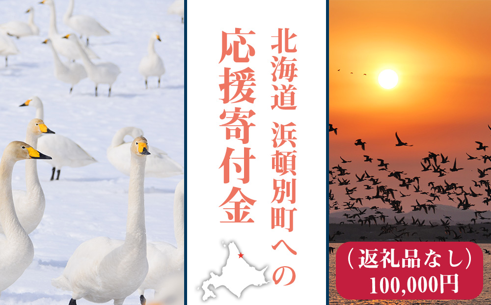 北海道 浜頓別町 ☆応援寄附金☆【返礼品なし】100,000円分 ふるさと納税 寄附のみ