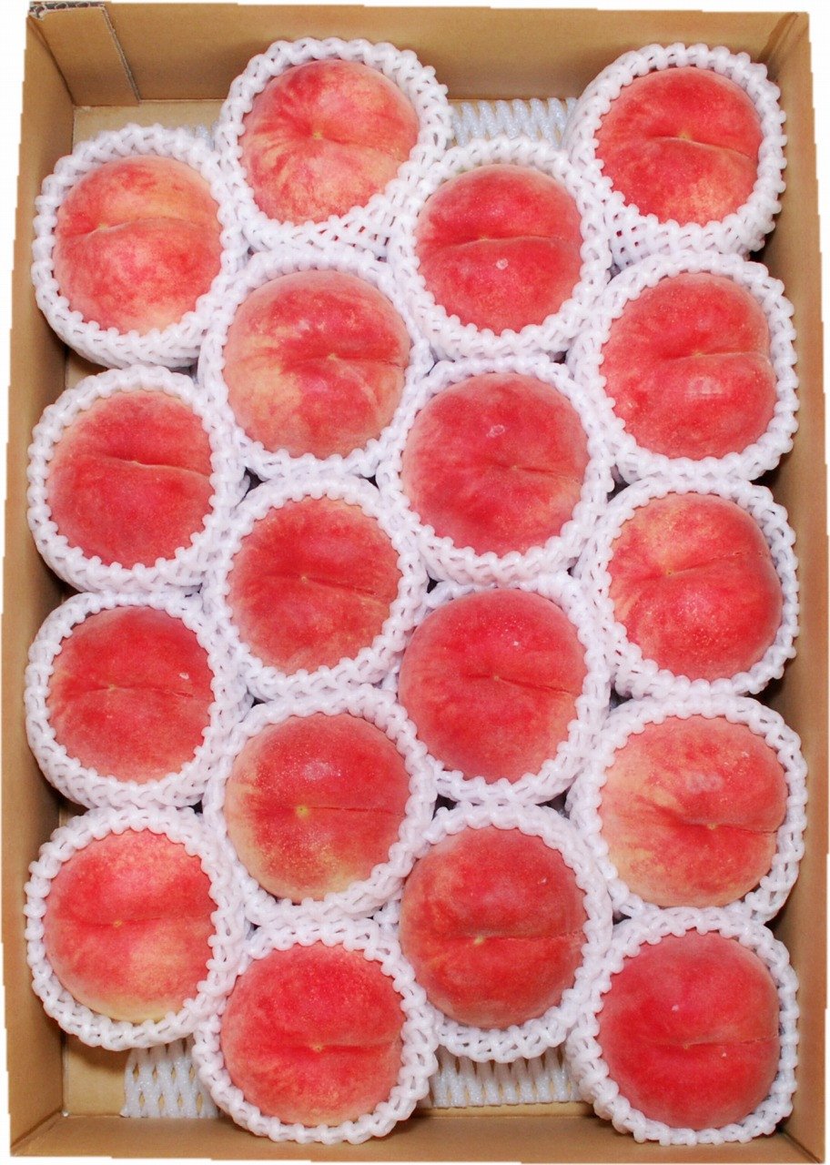 
                  08-02-019　もも(9月旬の白桃)5kg
                