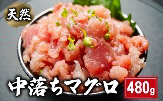 ネギトロ 天然 中落ちマグロ  480g 160×3パック ビンチョウマグロ メバチマグロ キハダマグロ まぐろ 鮪 刺身 赤身 肉 鉢マグロ ビンチョウ キハダ 中落ち 希少 ネギトロ マグロ漬け 海鮮丼 丼 寿司 鉄火丼 手巻き寿司 魚 海鮮 魚介 おつまみ おかず 冷凍 小分け 個包装 お取り寄せ 国産 千葉県 銚子市 和田水産