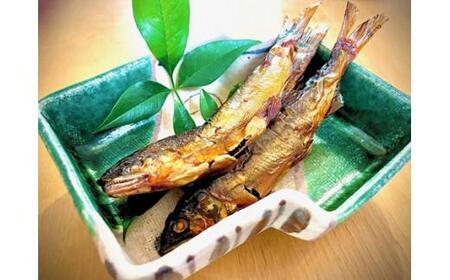 天然　鮎　甘露煮　5尾／（冷凍）　いとう　あゆ　川魚　三重県　大台町