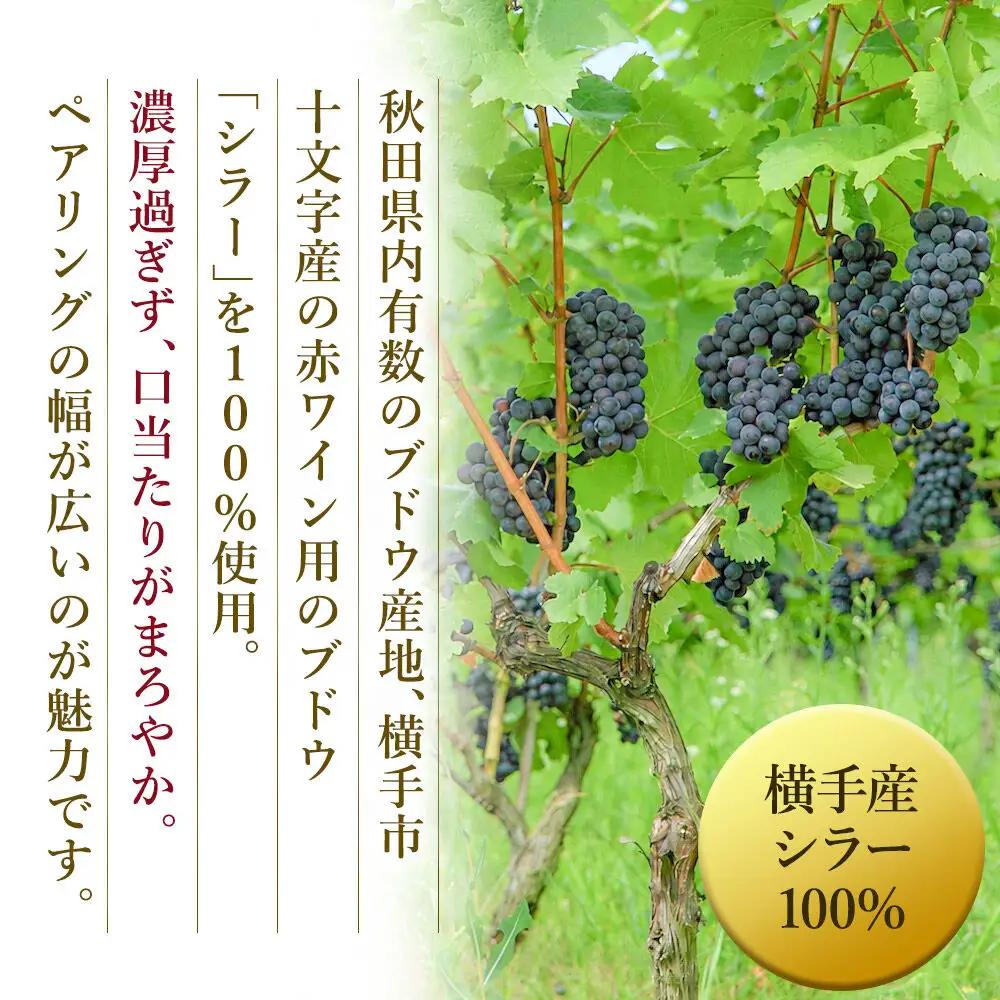 赤ワイン シラー 720ml×1本