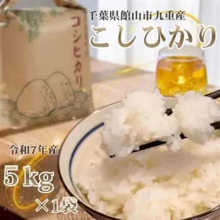 【令和7年産】館山市九重産コシヒカリ　5kg 精米【1728953】
