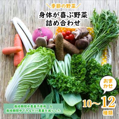 ふるさと納税 神栖市 【発送月固定定期便】【下旬発送】『身体が喜ぶ野菜』季節の詰め合わせ(おまかせ10〜12品)全10回