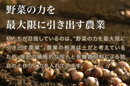 【令和7年産予約受付！】本山農場の玉ねぎ10kg 北海道 美瑛 たまねぎ 玉葱 野菜 送料無料 玉ネギ タマネギ オニオン 10kg スライス サラダ ハンバーグ 肉じゃが 味噌汁 焼き肉 バーベキュ