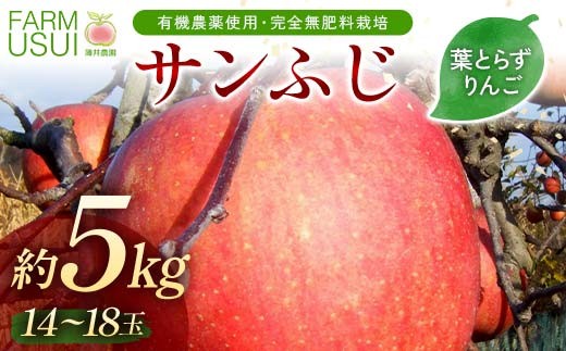 有機農薬使用・完全無肥料栽培「サンふじ」葉とらずりんご約5kg（14～18玉） F7X-0468