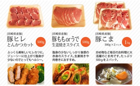宮崎県産豚 普段使いセット 合計3kg ※60日以内に発送【B235】
