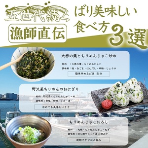 瀬戸内香川県産 ちりめん 1kg【予約受付中：令和8年6月頃より発送】【A-133】