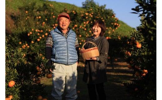 【ANA限定】【先行予約】＼数量限定／西都市産 蔵出し熟成ぽんかん 5kg　やのぽんかん園直送 ＜1-34＞