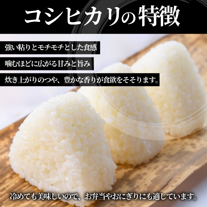 【令和7年新米】コシヒカリ 精米（白米）10kg こしひかり ごはん お米 米 おにぎり 181001
