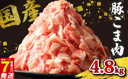 国産豚こま肉 約4.8kg 【 こま肉 】
