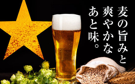 【全5回定期便】サッポロ生ビール 黒ラベル 500ml×24缶　合計120缶 日田市 / 株式会社綾部商店[ARDC079]