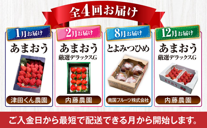 フルーツ定期便 6万5千円コース (あまおう3種＆いちじく) 《豊前市》【豊前市定期便】 [VZZ018]