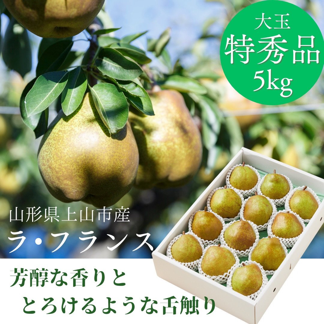 
            西洋梨（ラ・フランス）５ｋｇ　特秀品　0055-2517
          