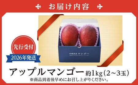 (先行受付)【2026年発送】アップルマンゴー 南城市 約1kg (2～3玉)